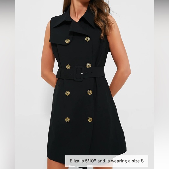 Tuckernuck Dresses & Skirts - Tuckernuck Black Milla Dress